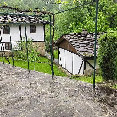 ким *