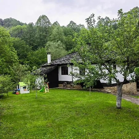 ким