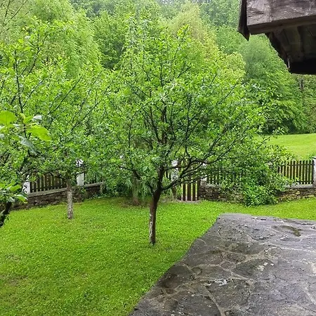 Villa ким