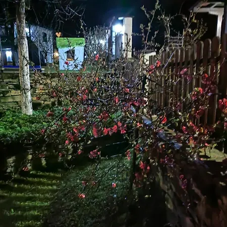 ким